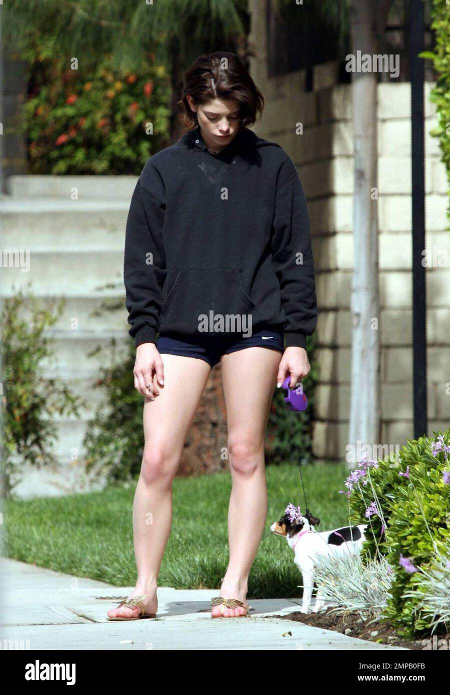 Exclusive!! "Twilight's" Ashley Greene was seen walking her dog in Los