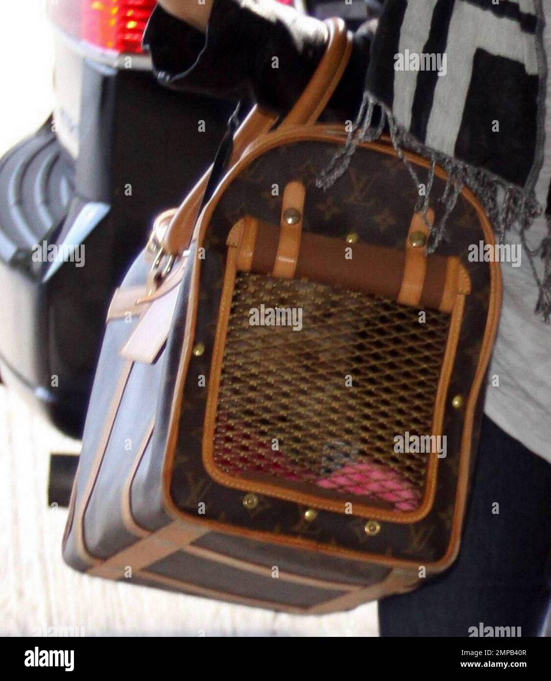 Ashley Tisdale wearing Louis Vuitton Monogram Denim Shawl, Louis