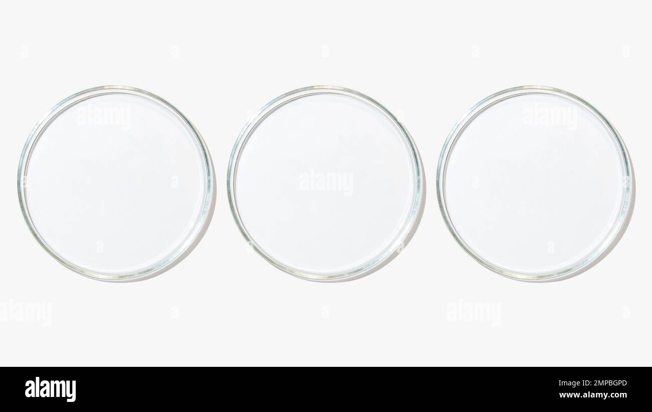 Set of petri dishes on a light background Stock Photo Alamy