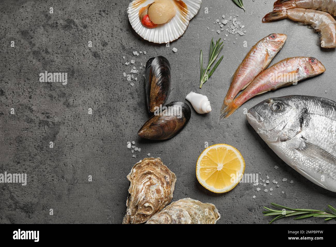 Fresh fish and seafood on grey table, flat lay Stock Photo - Alamy