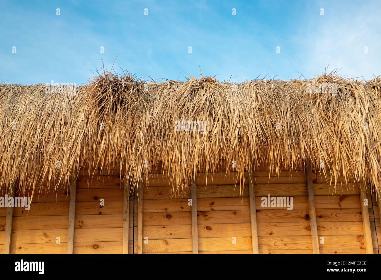 a roof made of reeds, traditional Stock Photo Alamy