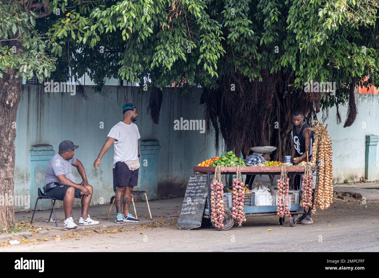 Vegetable market stall, Calle 17, Vedado, Havana, Cuba. Stock Photo