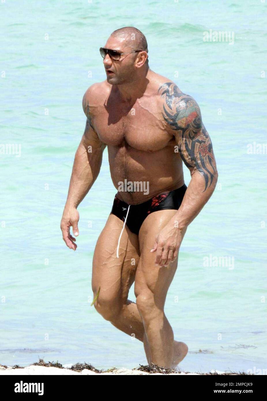 Dave Bautista - Photos, Videos, Birthday, Latest News, Height In