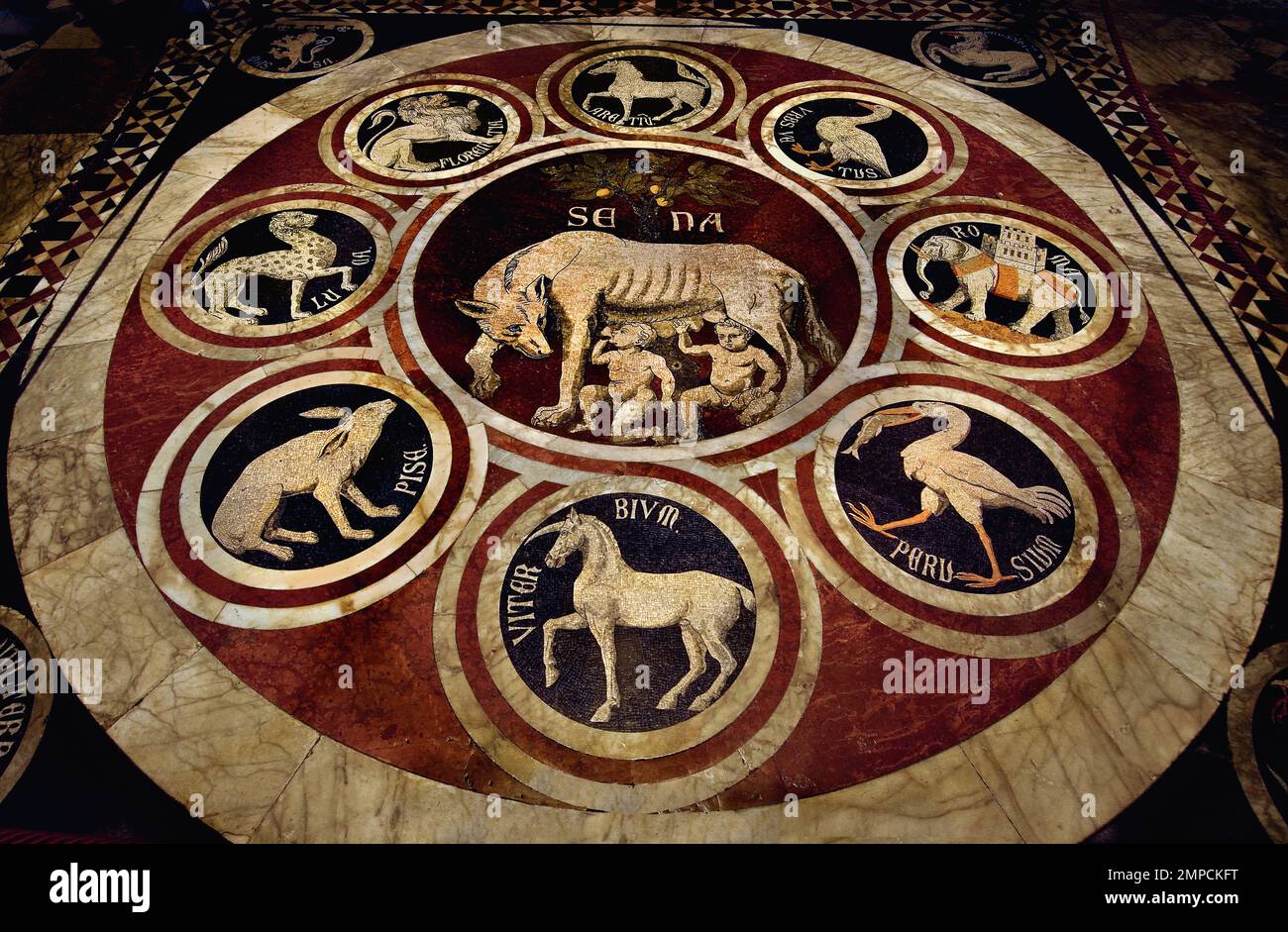 The legend of Aschius and Senius - The Sienese She Wolf with emblems of 12 confederate cities   Metropolitan Cathedral of Saint Mary of the Assumption - Duomo di Siena,  1215 and 1348, 13th Century, Tuscany, Italy, Italian, Gothic, Romanesque, Classical. ( One of the earliest panels in the inlaid mosaic floor of the Cathedral, the She-Wolf of Siena ) Stock Photo