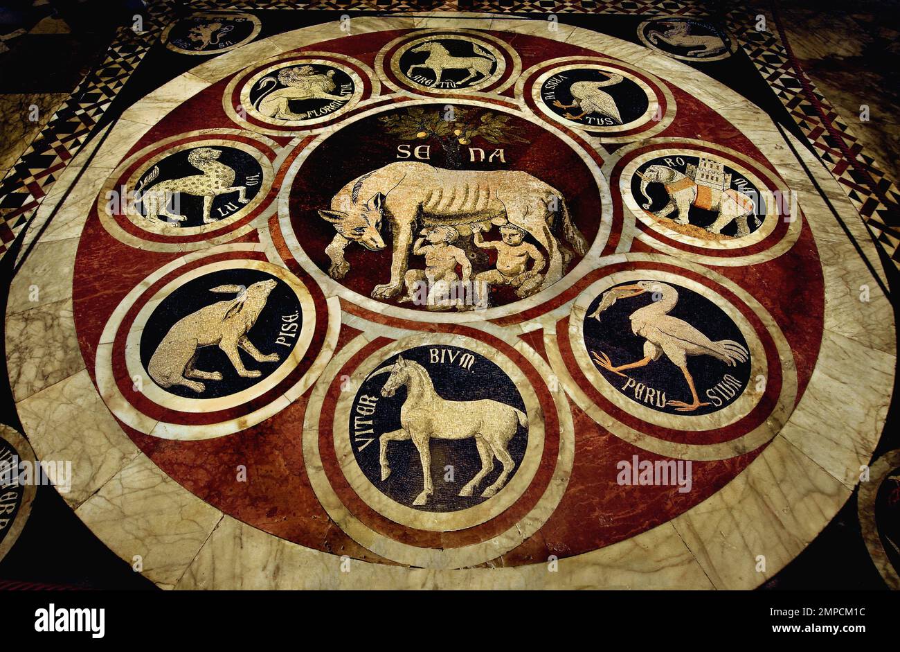 The legend of Aschius and Senius - The Sienese She Wolf with emblems of 12 confederate cities   Metropolitan Cathedral of Saint Mary of the Assumption - Duomo di Siena,  1215 and 1348, 13th Century, Tuscany, Italy, Italian, Gothic, Romanesque, Classical. ( One of the earliest panels in the inlaid mosaic floor of the Cathedral, the She-Wolf of Siena ) Stock Photo