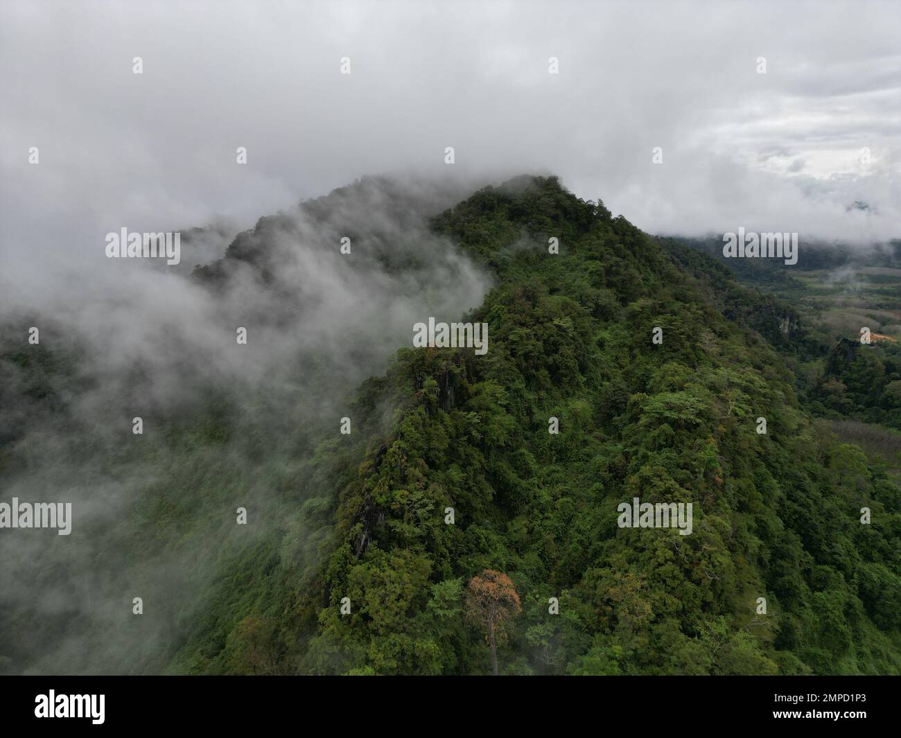 An aerial view of green mountains covered with trees and fog, cloudy ...
