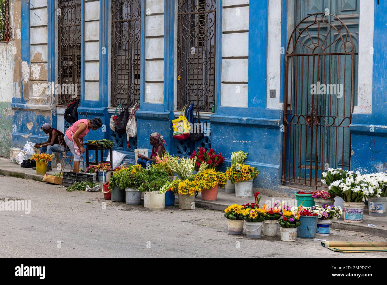 Street flower seller, Callejon de Hamel, Havana, Cuba. Stock Photo