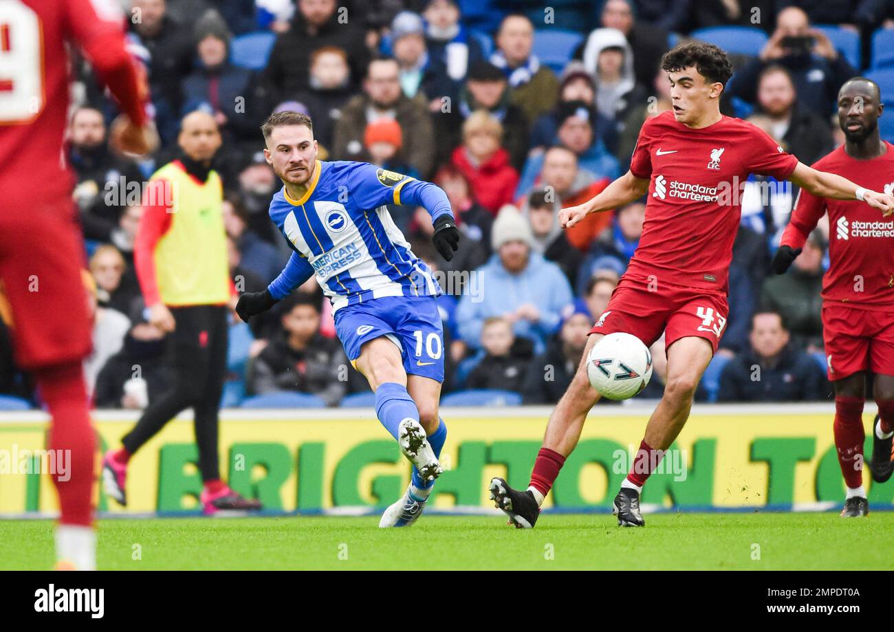 Alexis Mac Allister of Brighton during the Emirates FA Cup Fourth Round