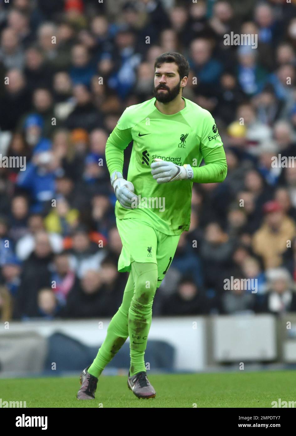 Alisson Becker of Liverpool during the Emirates FA Cup Fourth Round match between Brighton & Hove Albion and  Liverpool at The American Express Community Stadium , Brighton , UK - 29th January 2023  Photo Simon Dack/Telephoto Images. Editorial use only. No merchandising. For Football images FA and Premier League restrictions apply inc. no internet/mobile usage without FAPL license - for details contact Football Dataco Stock Photo