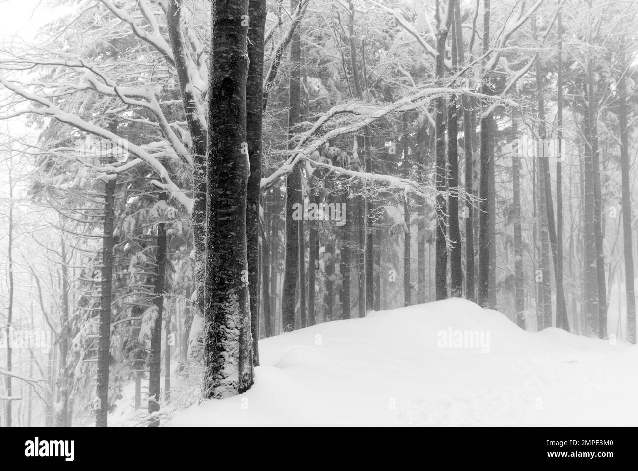 snow landscape in appennino mountains Stock Photo
