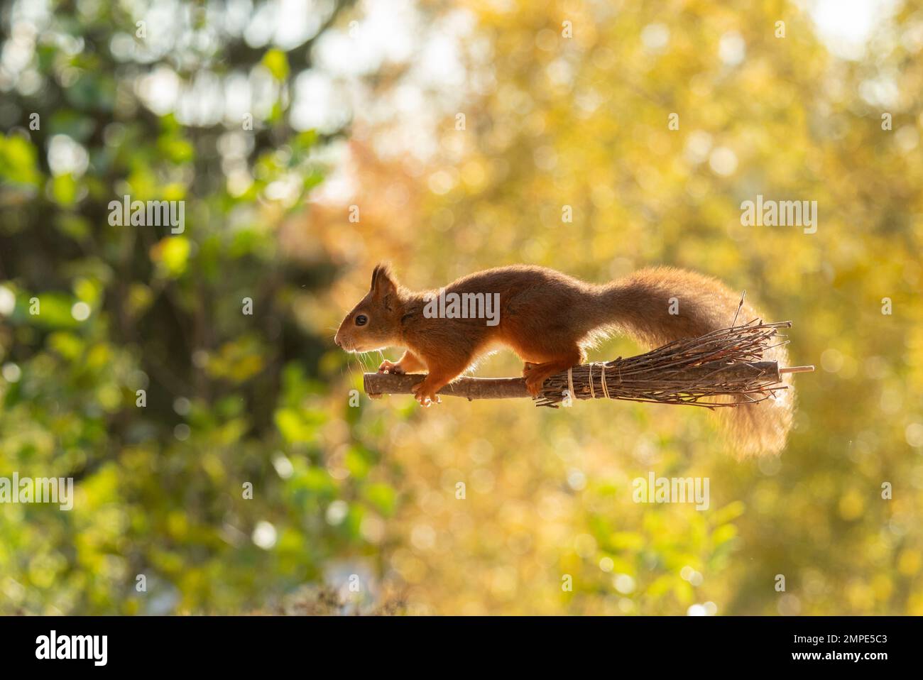 Air broom hi-res stock photography and images - Alamy