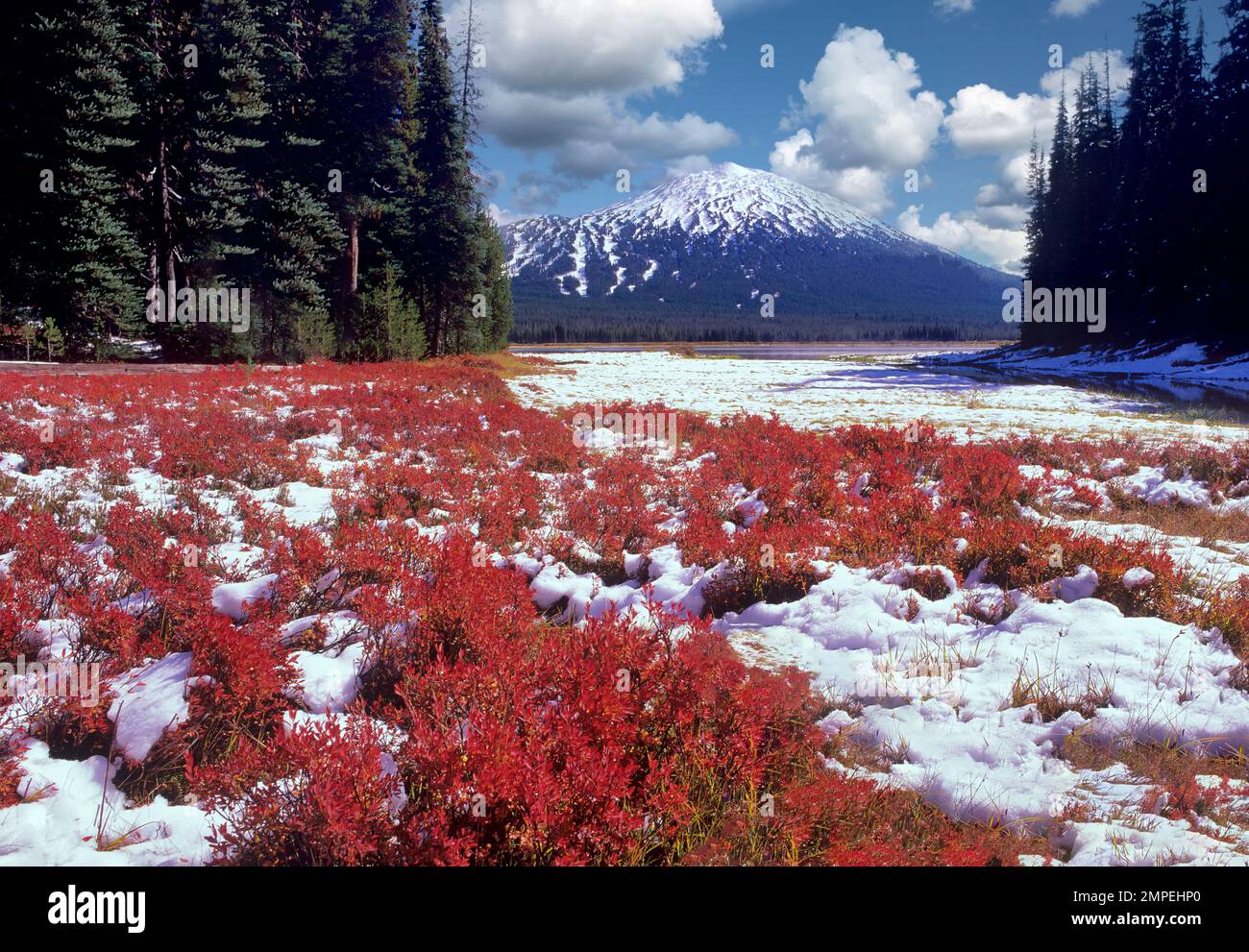 Mount bachelor oregon fall colors hi-res stock photography and images ...