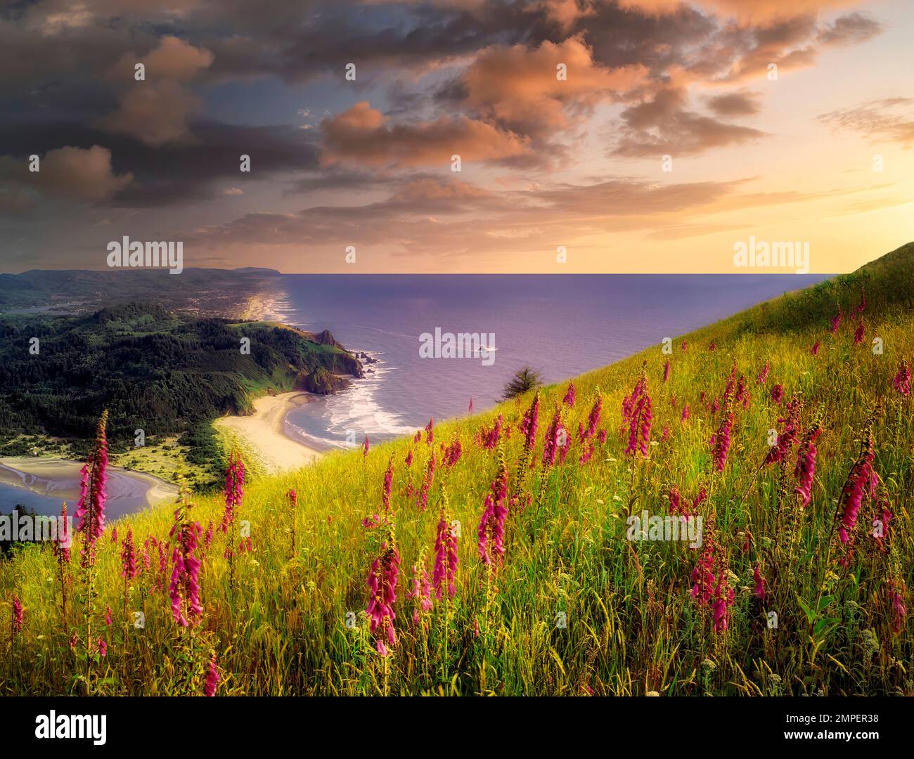 Cascade head view beach hi-res stock photography and images - Alamy