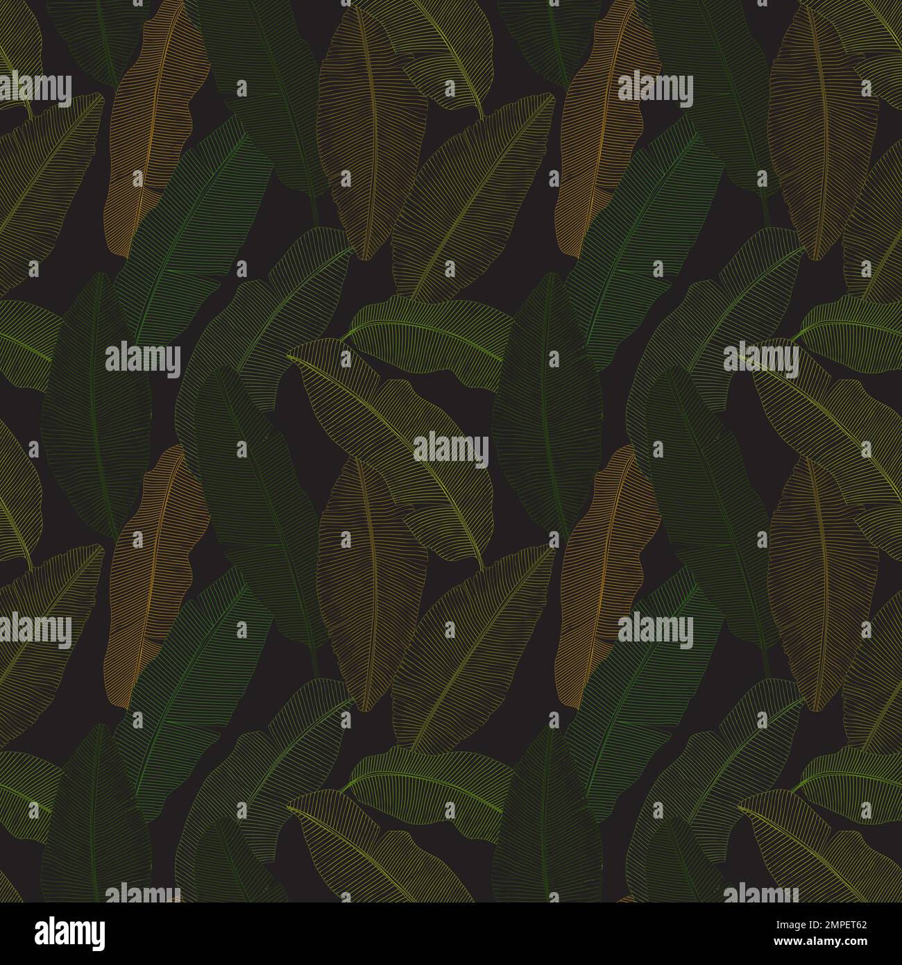 Vector banana leaves seamless pattern within line art style. Stock Vector
