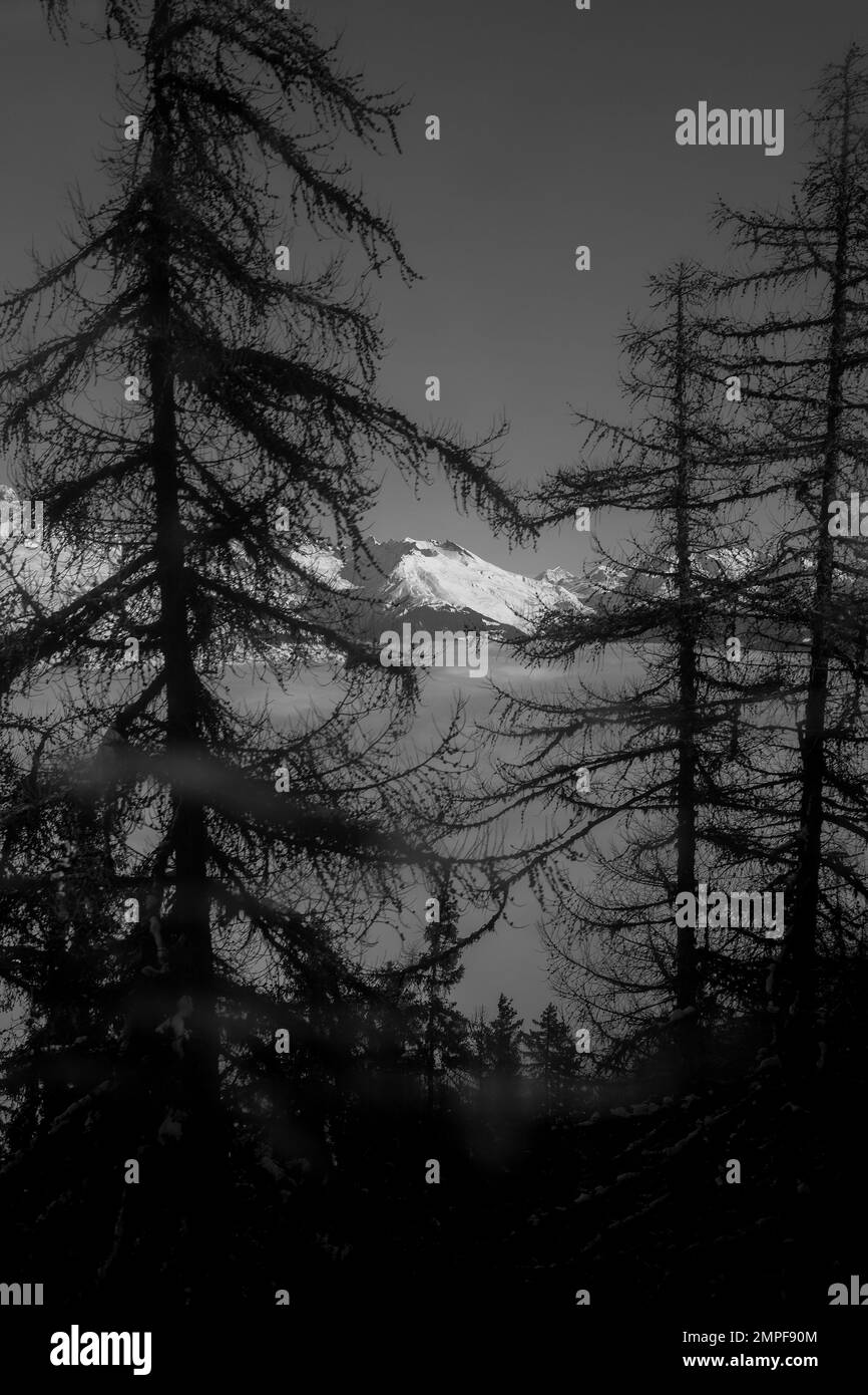 Michael Bunel / Le Pictorium Skiing in the Alps 5/1/2016 Savoie