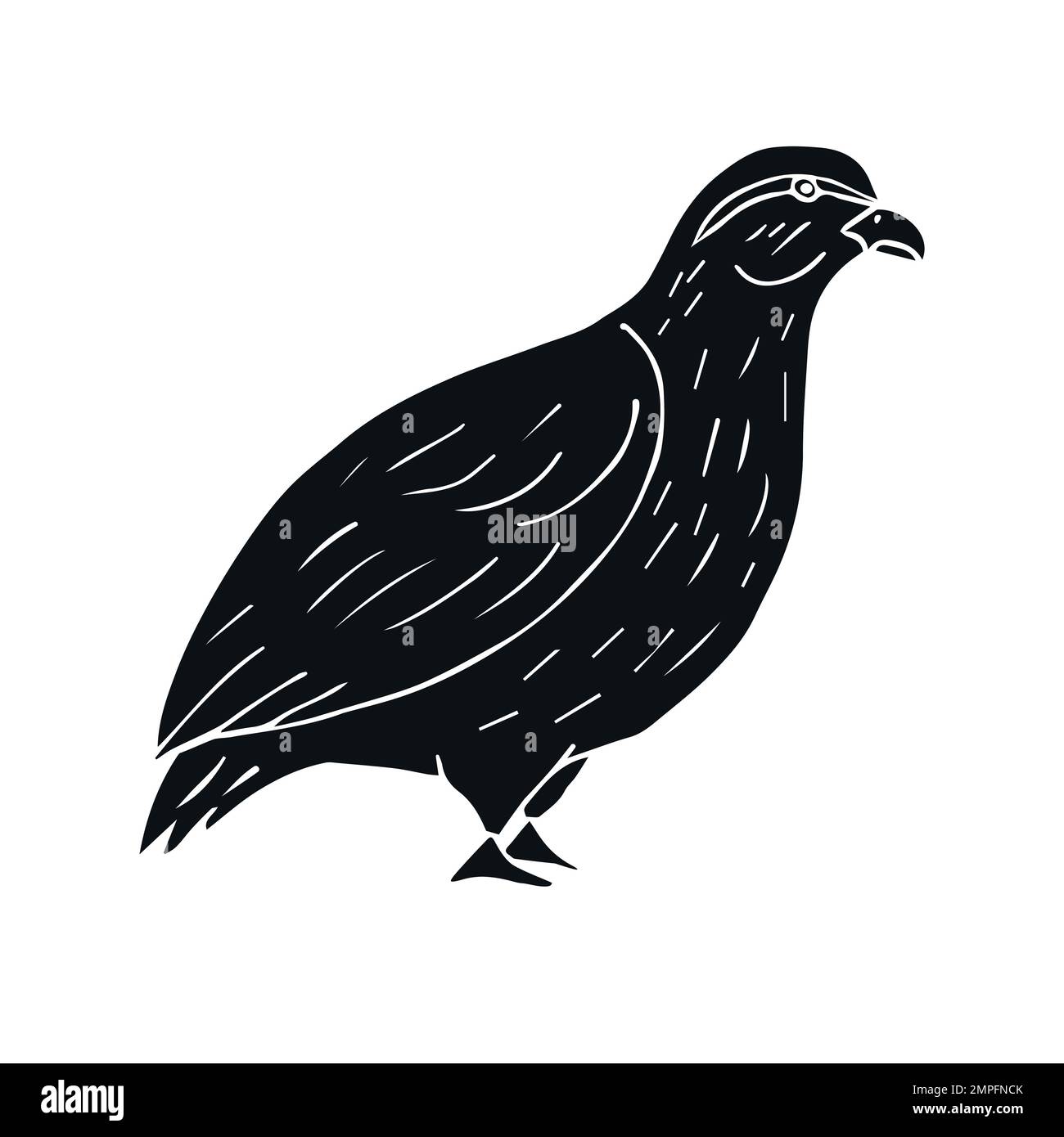 Vector hand drawn doodle sketch black partridge bird isolated on white  background Stock Vector Image & Art - Alamy