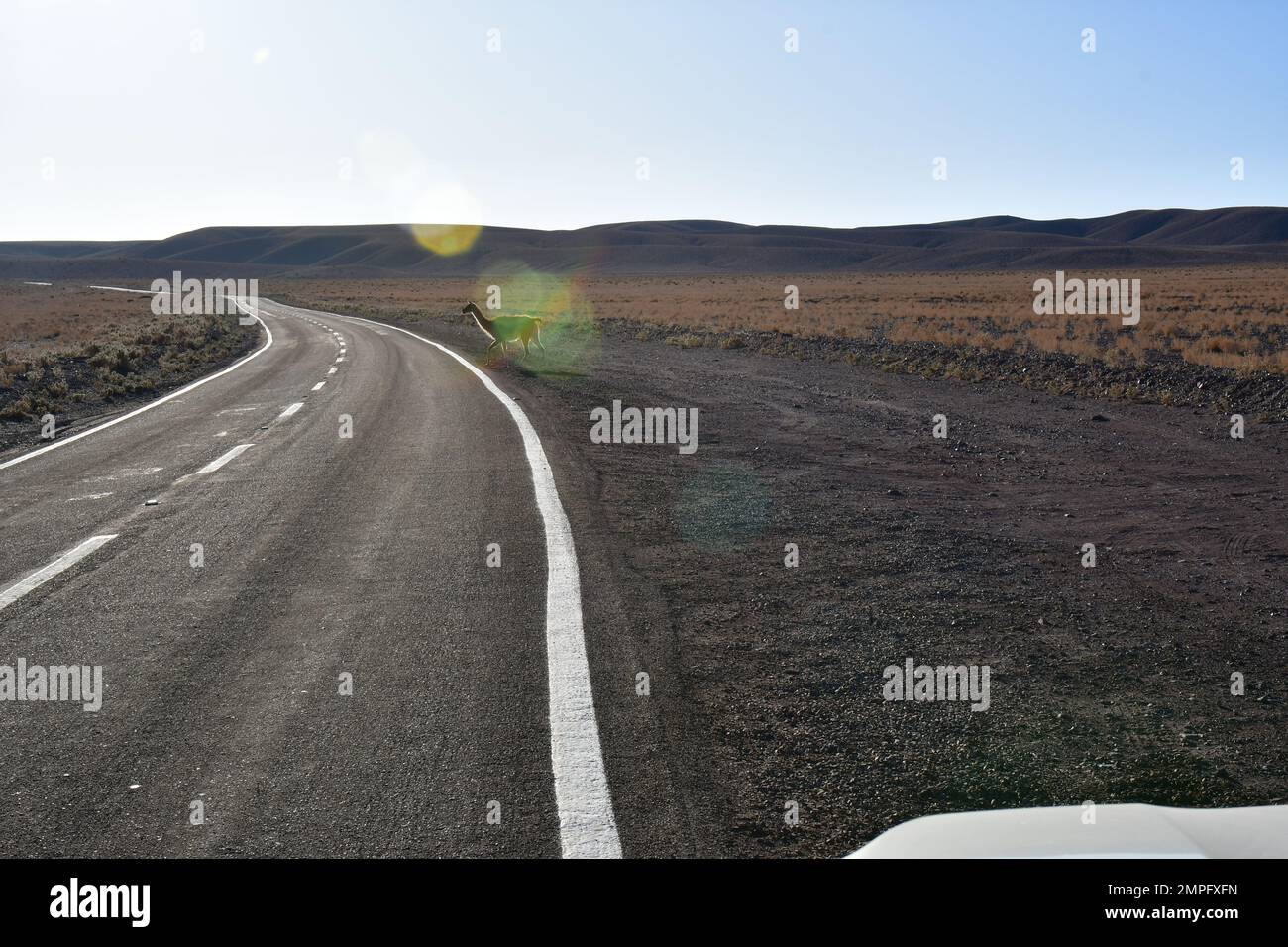 Lonely empty desert road hi-res stock photography and images - Alamy