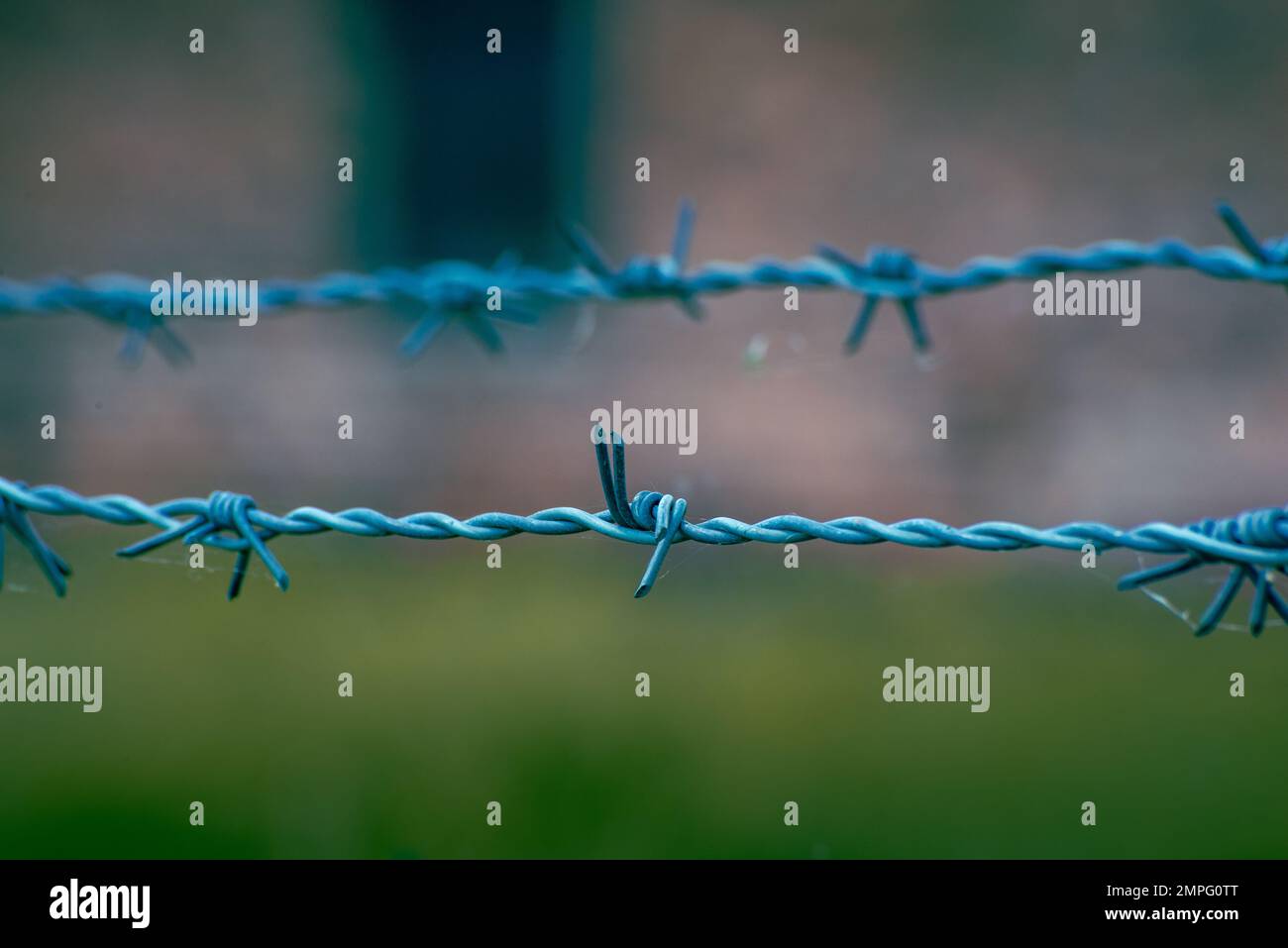 Crime against humanity hi-res stock photography and images - Alamy