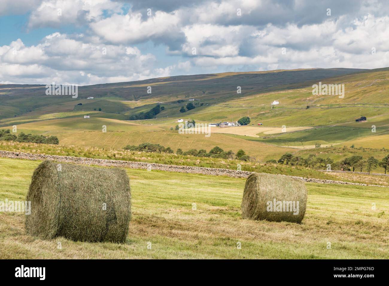 Sunshine, shadows and a patchwork of freshly cut hay meadows at Harwood, Upper Teesdale Stock Photo
