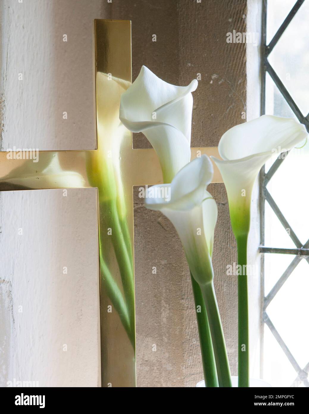 Calla Lillies with polished brass cross Stock Photo