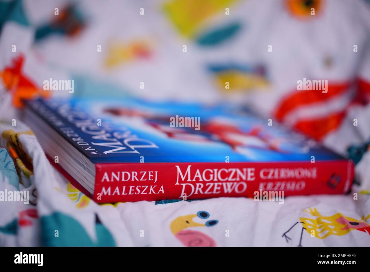 Polish Andrzej Maleszka Magiczne Drzewo novel for children on a bed sheet Stock Photo