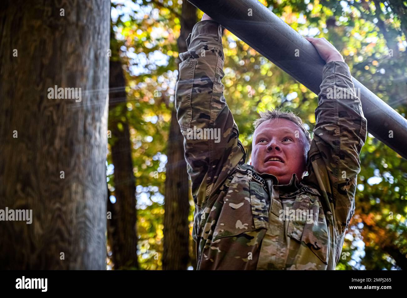Army cadet command 2nd brigade hi-res stock photography and images - Alamy