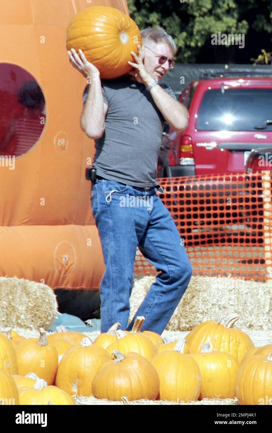Calista Flockhart and Harrison Ford take little Liam on a pumpkin hunt in West Hollywood, Ca. 10/29/06 Stock Photo