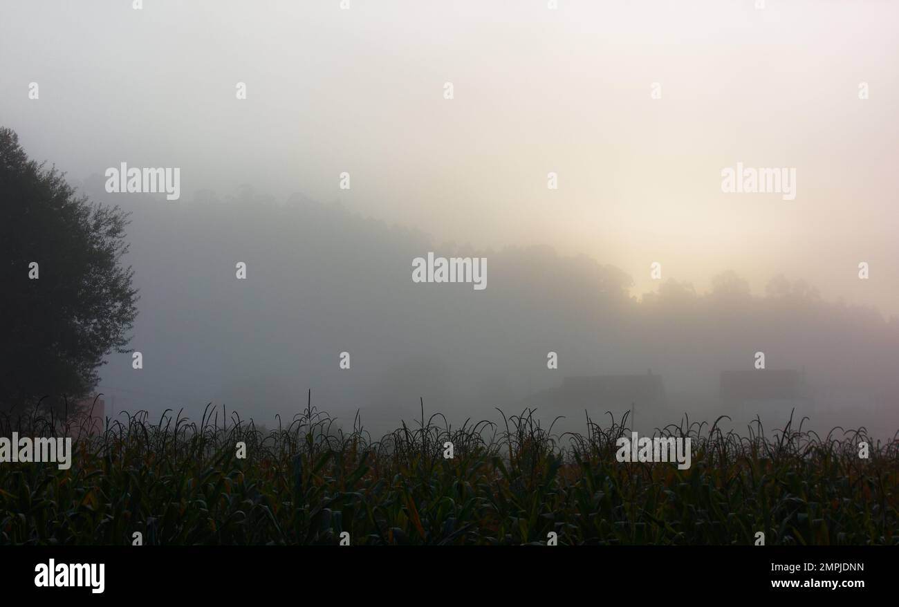 Magic nature of Spain along the Camino de Santiago Stock Photo