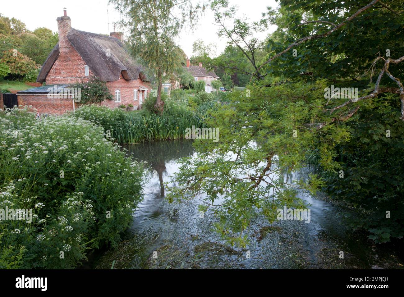 The River Ebble in the village of Stratford Tony in Wiltshire. Stock Photo