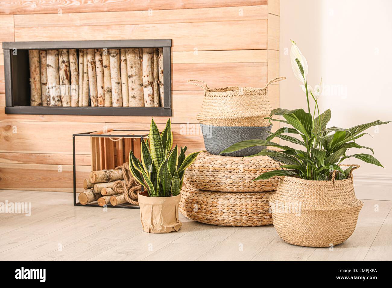 Stylish interior design with beautiful plants in pots Stock Photo - Alamy
