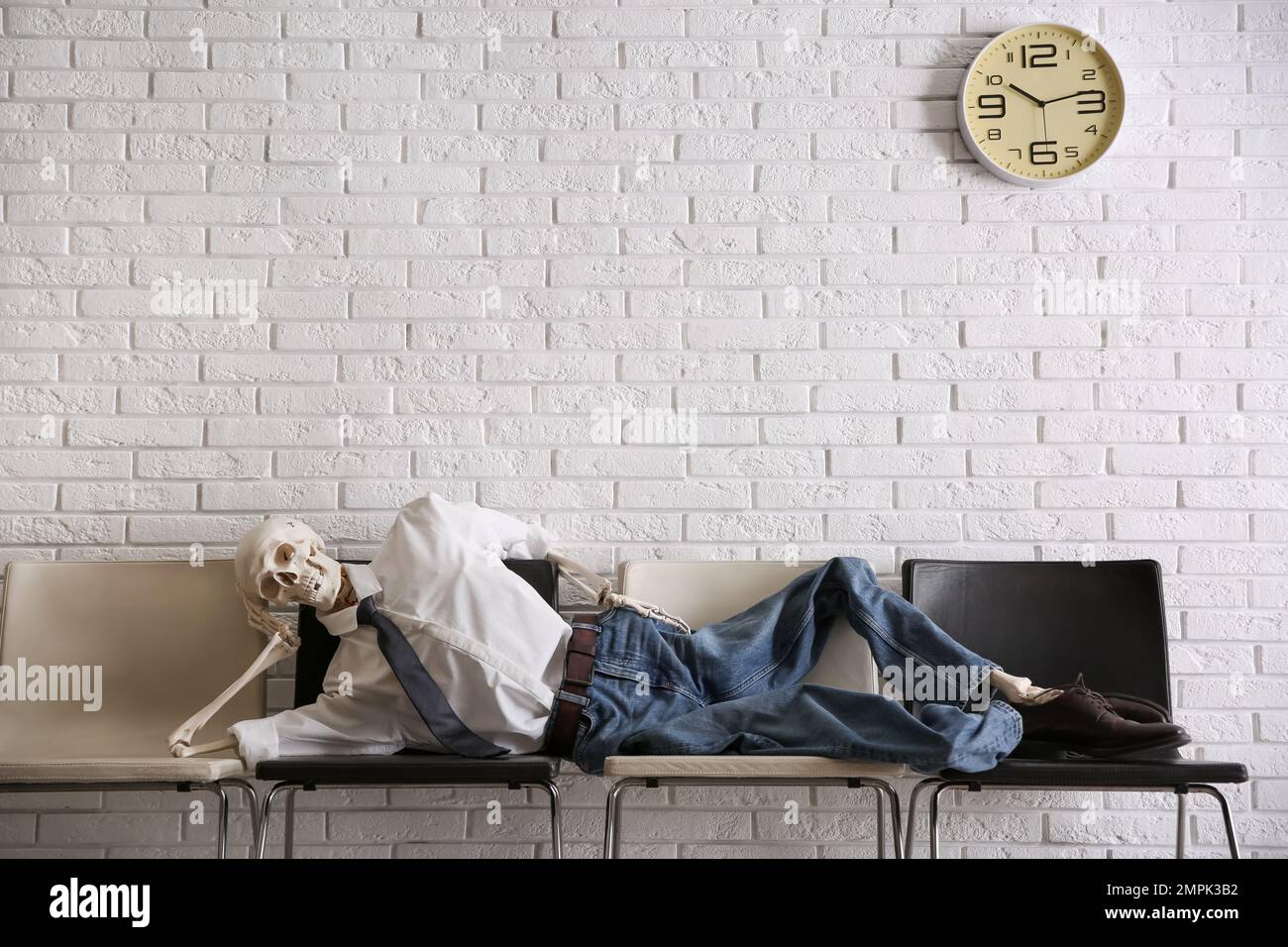 Human skeleton in office wear lying on chairs near brick wall indoors Stock Photo