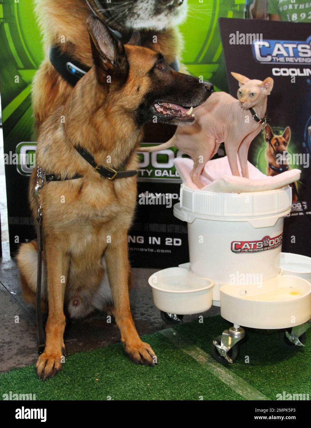 Animal film stars Diggs and Kitty Galore attend a screening of Warner
