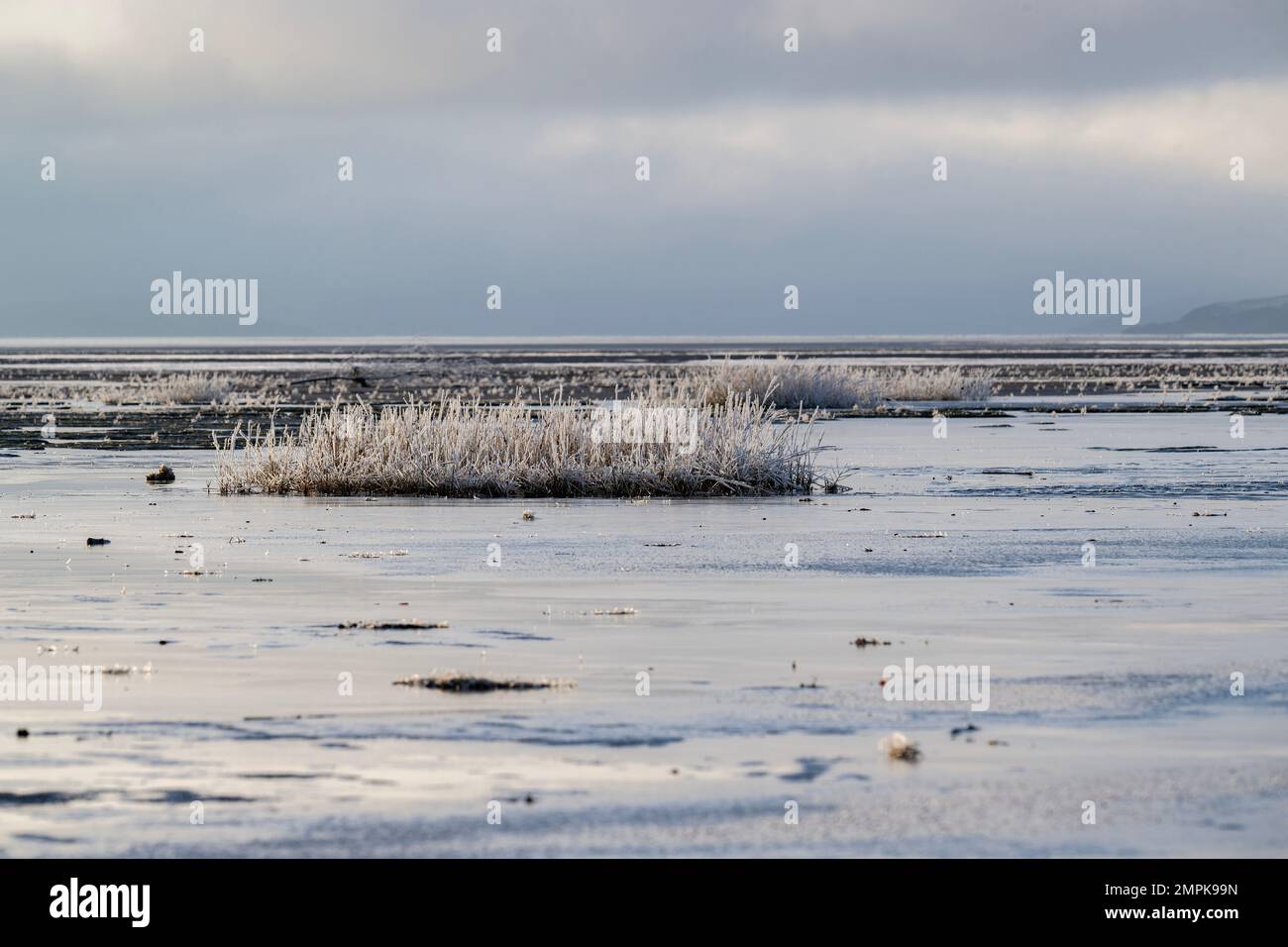 View of the Solway Estuary from Mersehead RSPB Reserve, on a frosty day, Dumfries and galloway, SW Scotland. Stock Photo