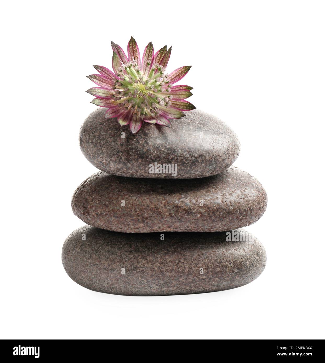 Spa Flowers And Rocks