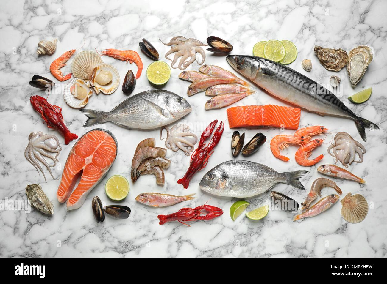 Fresh fish and different seafood on white marble table, flat lay Stock ...