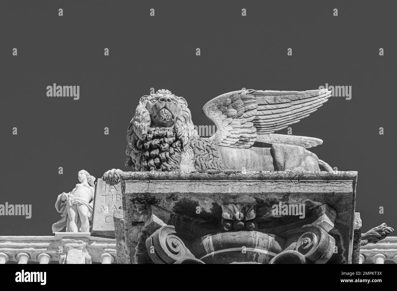 the statue of the Winged lion of St Mark, Maffei palace of baroque architecture, built in 1668  - Verona, Veneto region - northern Italy - Europe Stock Photo