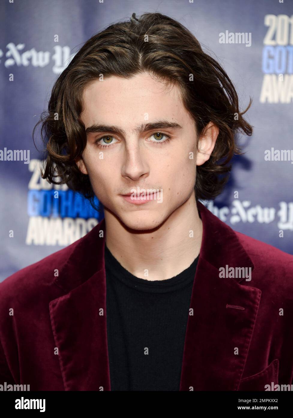 Actor Timothee Chalamet attends the 27th annual Independent Film ...