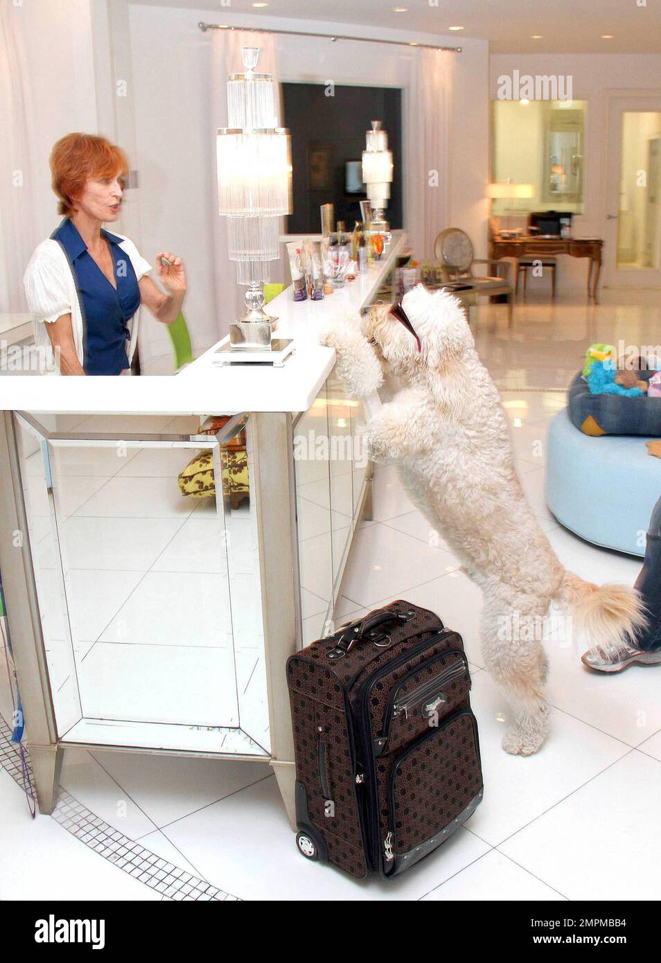 EXCLUSIVE!! This is Chateau Poochie, the world's most exclusive hotel for  dogs and cats where luxury is unleashed. Services at this stylish hotel and  spa include a fitness club, holistic food, pedicures,