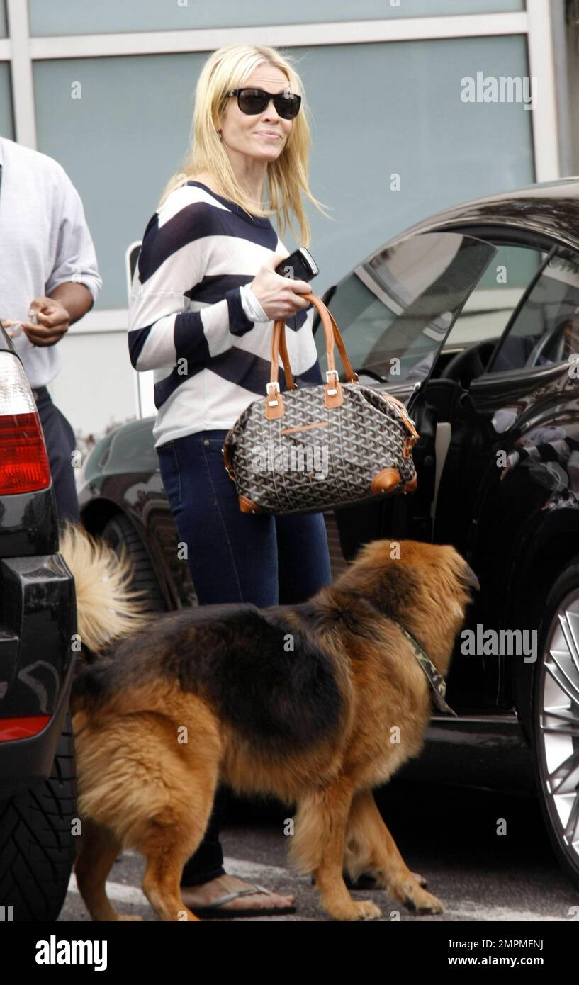 Shop Sequin Embellished Dog Shaped Crossbody Bag Online | Max UAE
