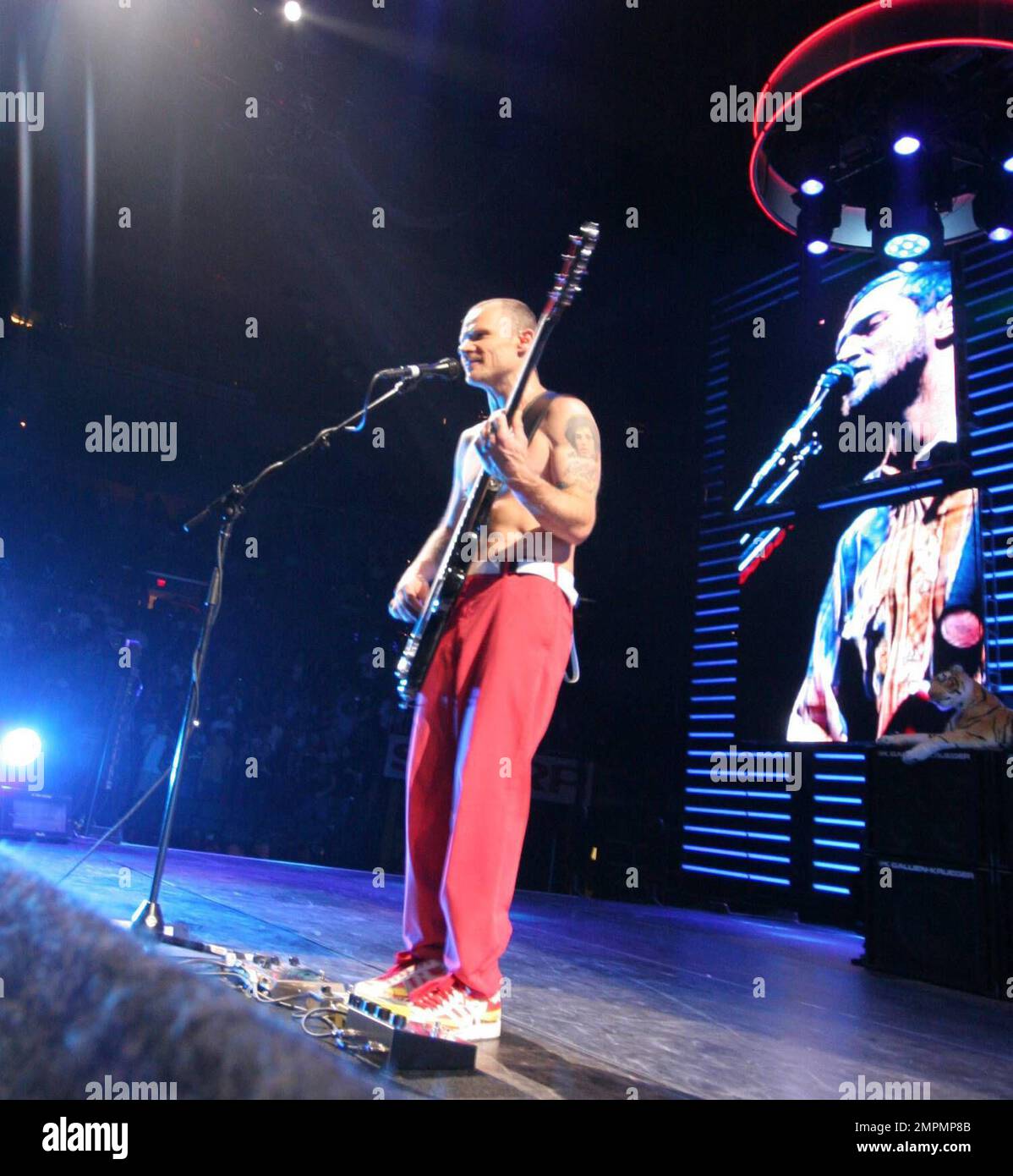 Red hot chili peppers bank atlantic hires stock photography and images