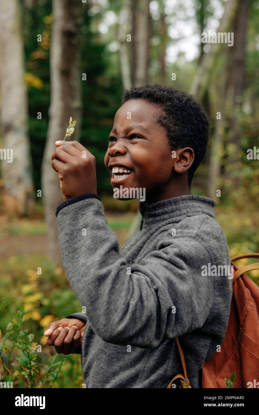 Side view of cheerful boy examining leaf during vacation in forest Stock Photo