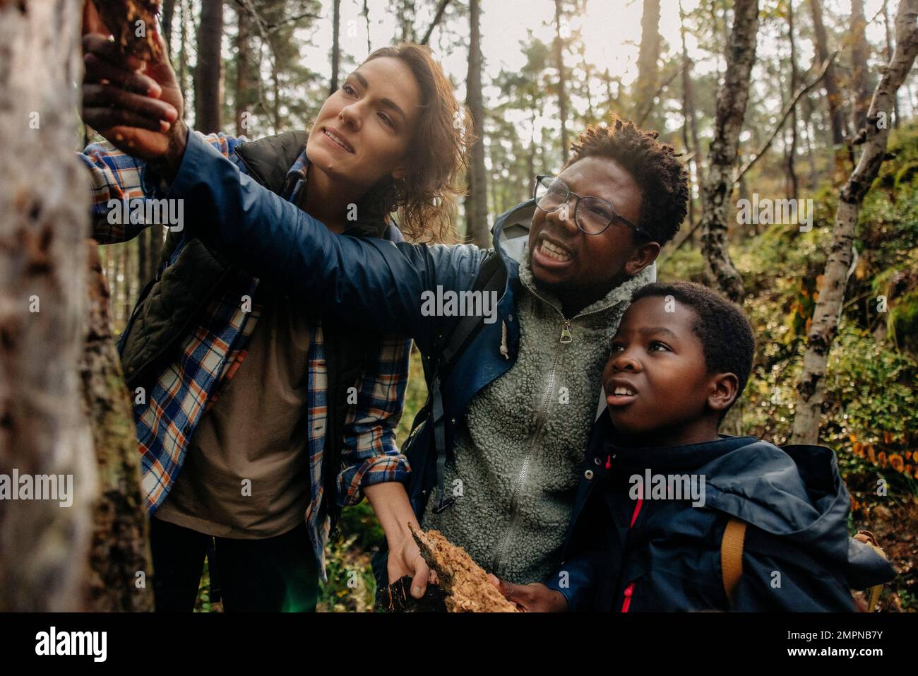 Father talking to woman and son while showing tree in forest during ...