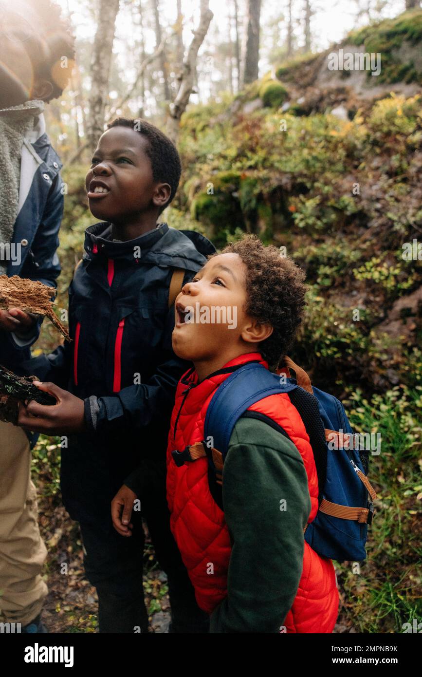 Curious sons standing with father while exploring forest during vacation Stock Photo
