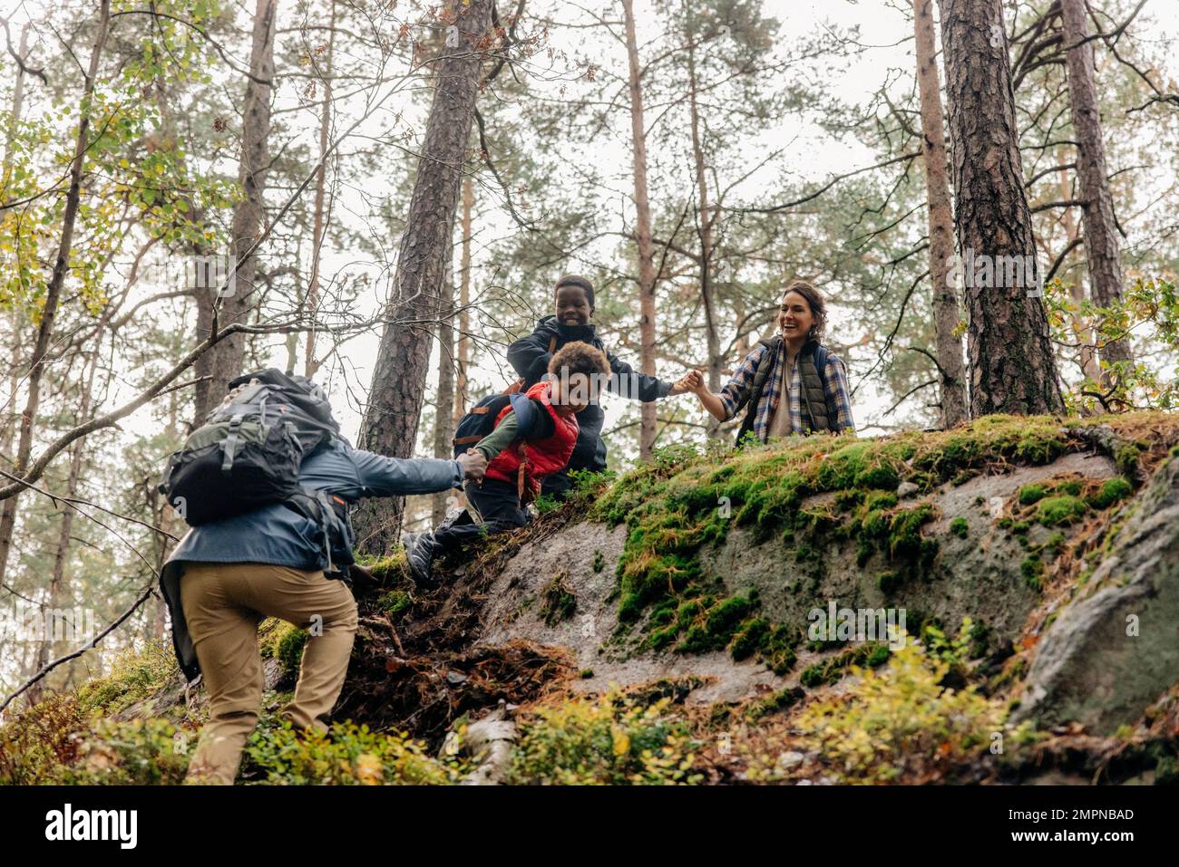 Family helping father while climbing during hiking in forest Stock Photo