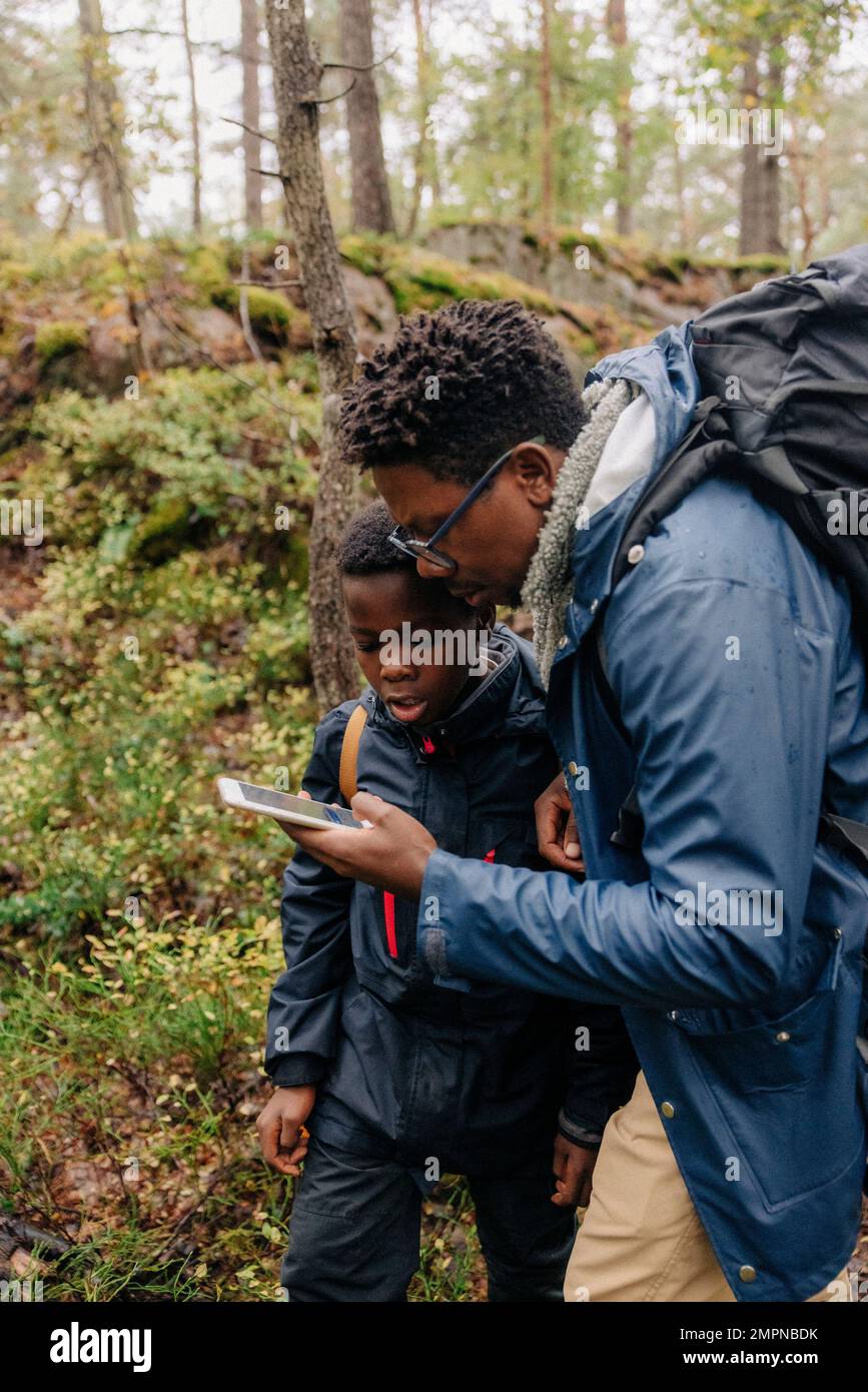 Father using smart phone with son while exploring forest during ...