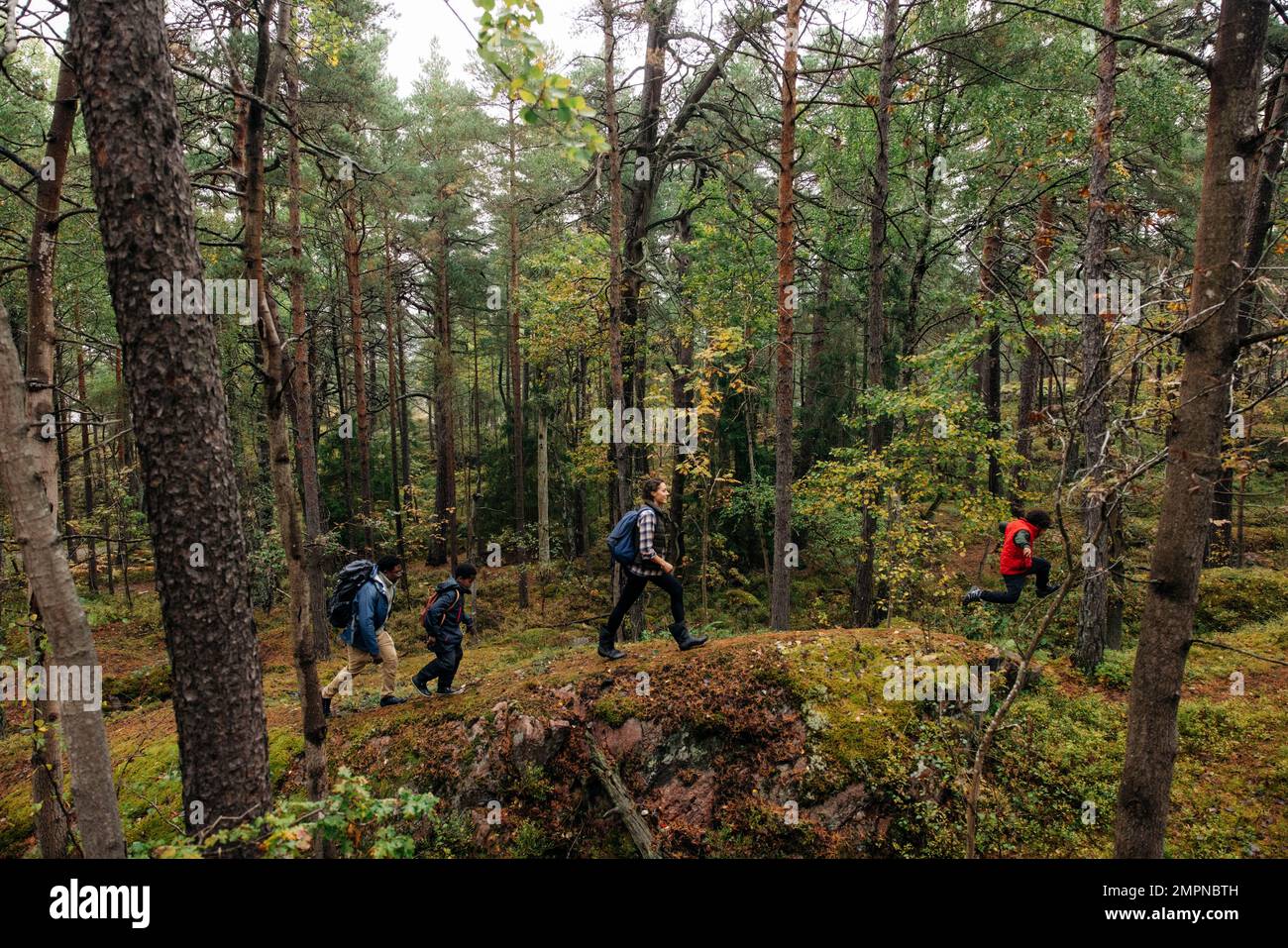 Family hiking in nature hi-res stock photography and images - Alamy