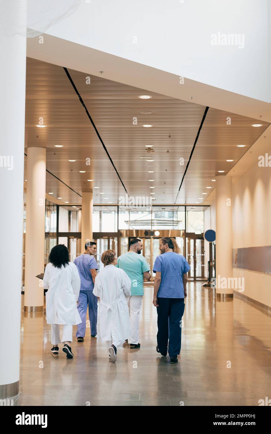 Rear view of male and female doctors walking in hospital Stock Photo