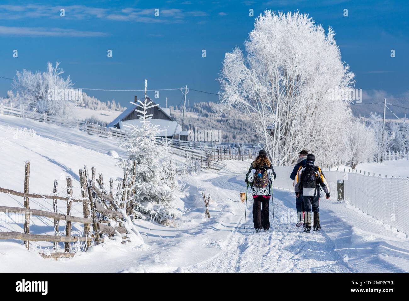 Hikers in a rural fairytale Landscape in Tihuta Pass, Piatra Fantanele, Transylvania Romania. Hiking in winter time on a snowy road. Stock Photo