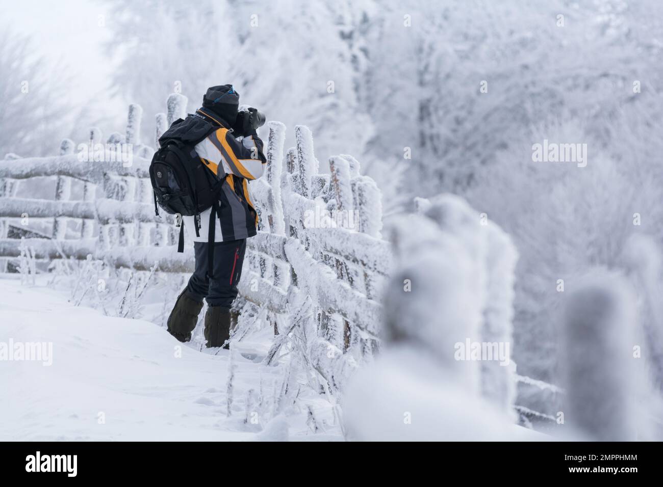 Photographer silhouette taking photos during winter time in a frosty landscape Stock Photo