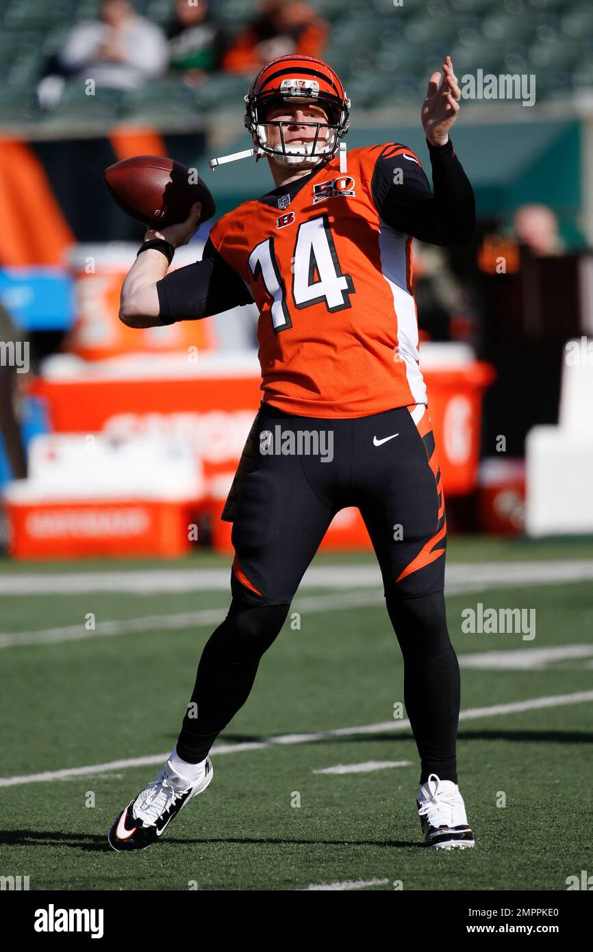 PHOTOS: Bengals versus Browns, Nov. 26, 2017